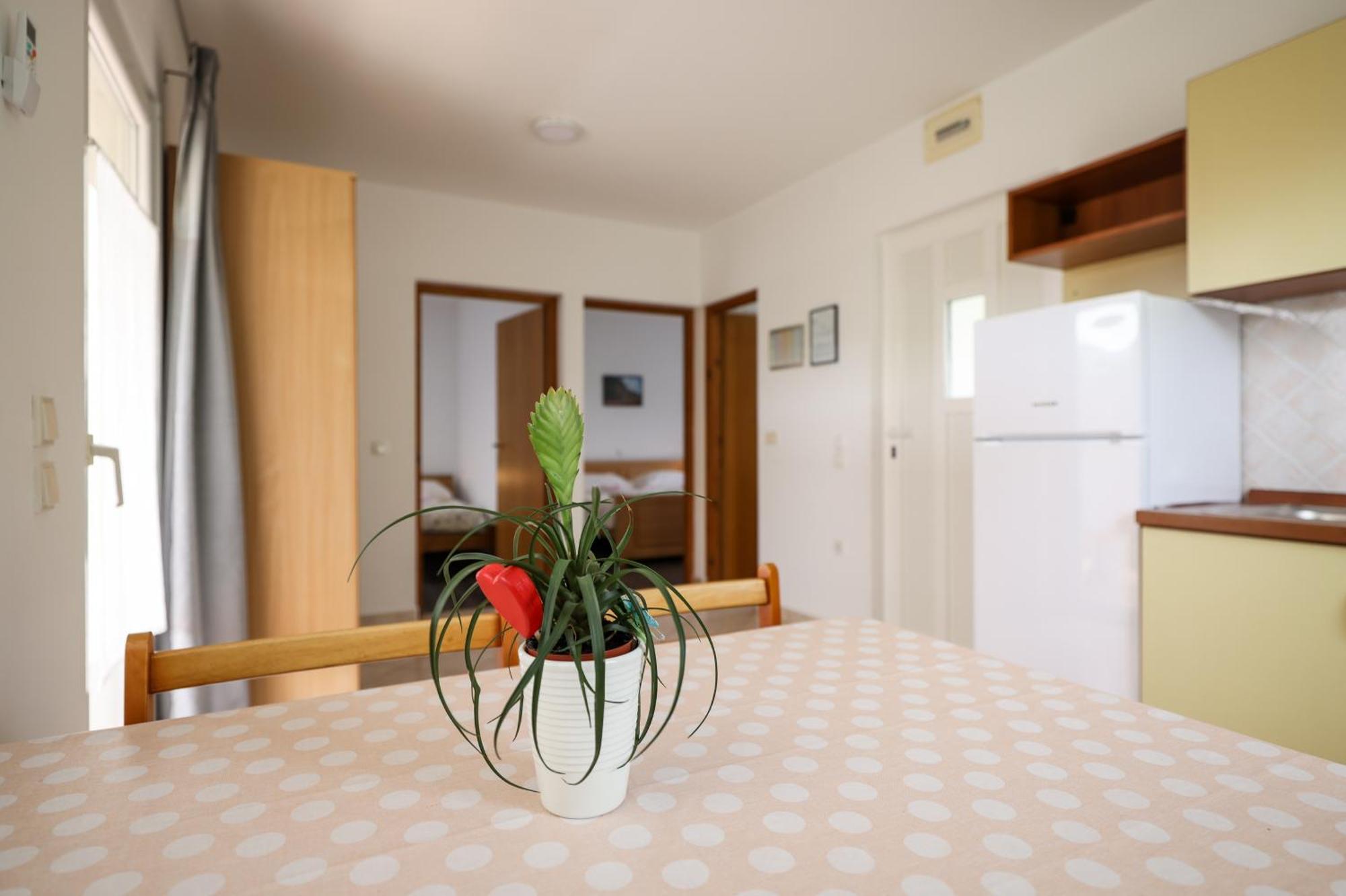 Apartments Kika نين المظهر الخارجي الصورة